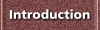 Introduction