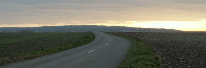 Bourlon Wood