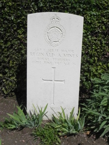 CSM Reginald Mines