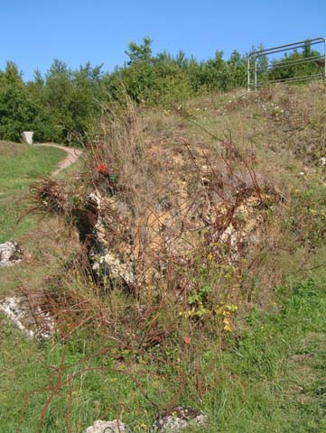 Little is left of the shattered remains of Thiaumont