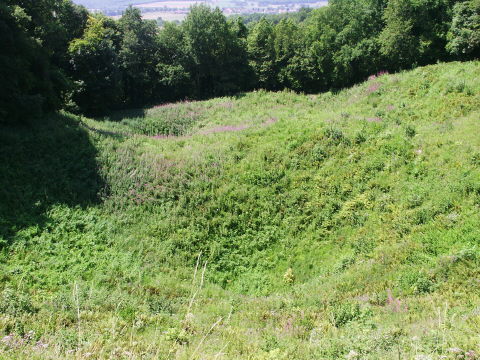 The mine torn hillside