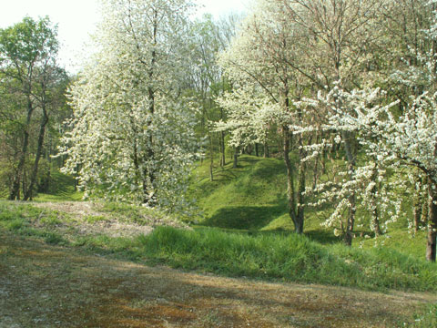The Fort at La Malmaison