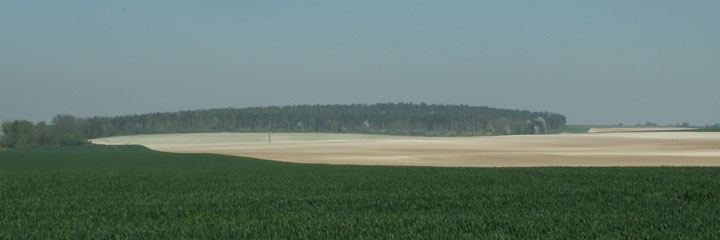 The forested hill of Sapigneul