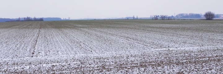 The Digger Memorial on the left