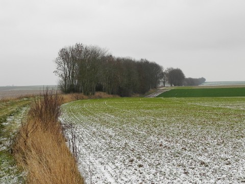 Along the Railway Embankment