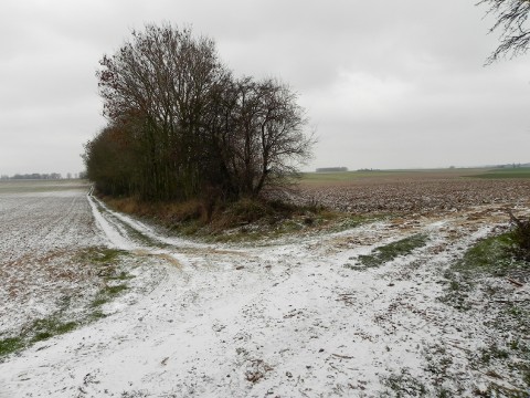 Central Road crossing from bottom (Noreuil) to top (Riencourt)