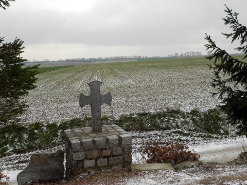 Lt Moon carried out his daring move in the fields
