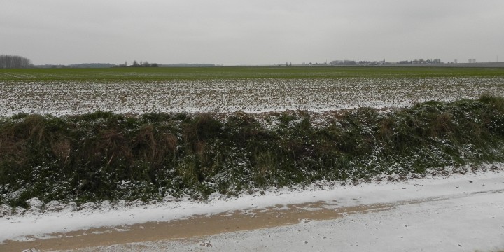 Looking towards the German lines from the Sunken Road
