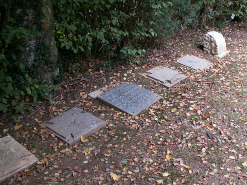 Some of the original stones