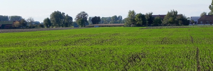 Looking towards Fromelles