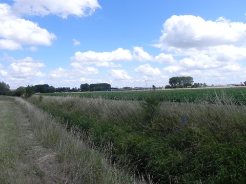 La Quinque Rue Festubert
