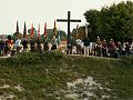 Standards and the Cross