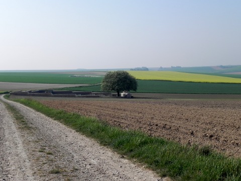 Point 110 Old and New (in the distance) Cemeteries