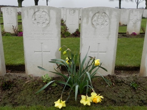 The Walsgrove Brothers