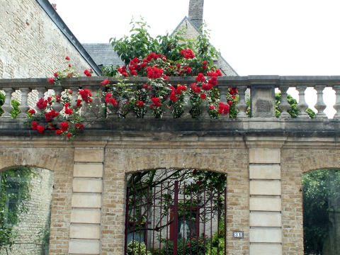 Along the Rue St Bertin