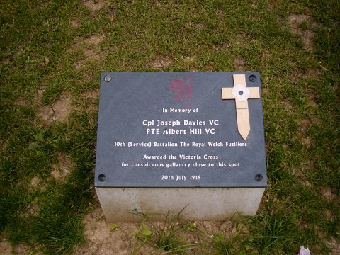 Delville Wood Davies - Hill VC Tree