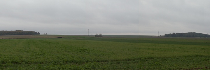 Looking towards Upton Wood