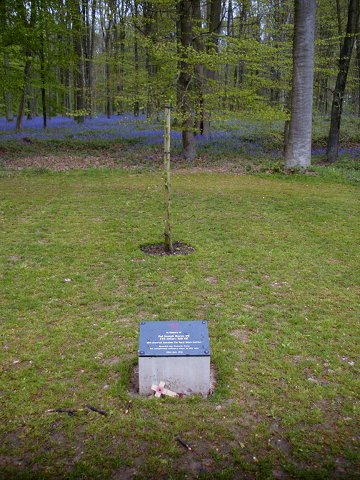 Delville Wood Davies - Hill VC Tree