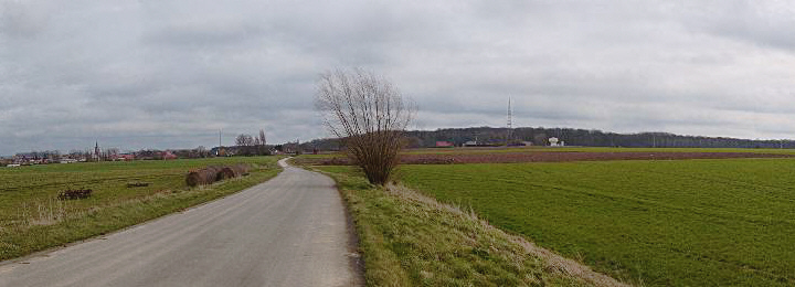 Bourlon Wood from the direction of Moeuvres