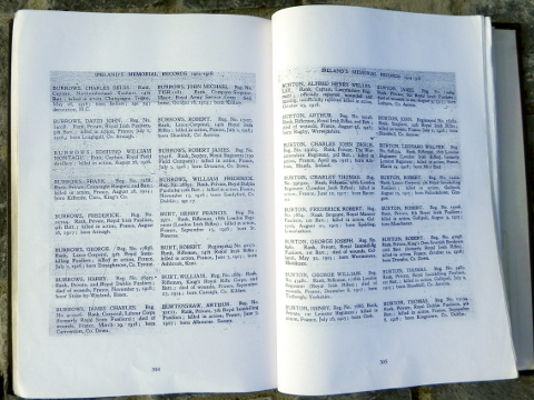 A directory of all Irishmen who died