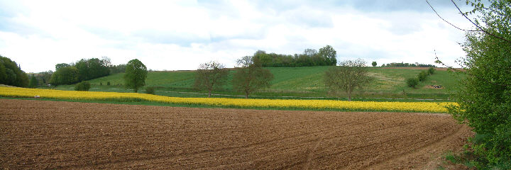 The view as you pass through the hedge