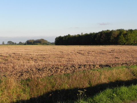 Aubers, Princes Road