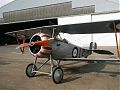Nieuport 17