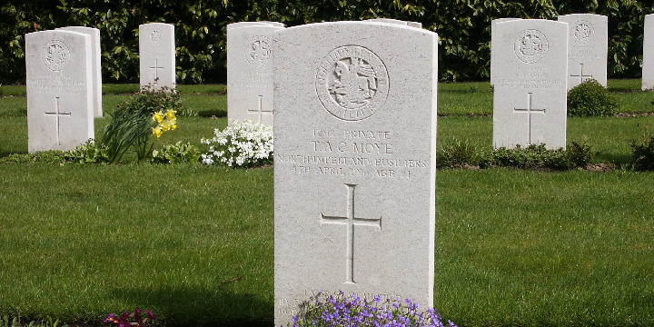 The Northumberland Fusiliers in plot VIII