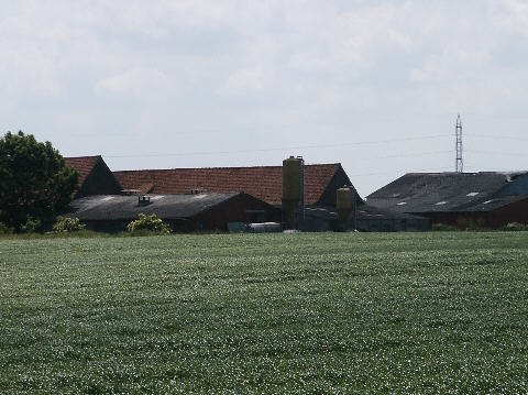 Minty Farm Cemetery 
