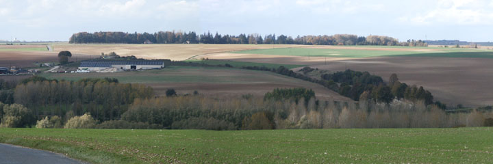 From the area of the Ulster Tower